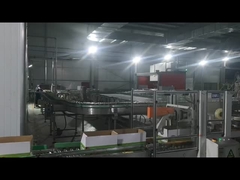 Máquina para sellar cartones, máquina para paletizar robots