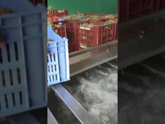 Lavadora de frutas y verduras tipo burbuja, capacidad de producción personalizable