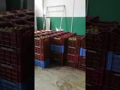 Línea de producción de jugos de frutas y verduras