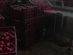 Línea de producción para el procesamiento de jugo de frutas condensado/pasta de tomate